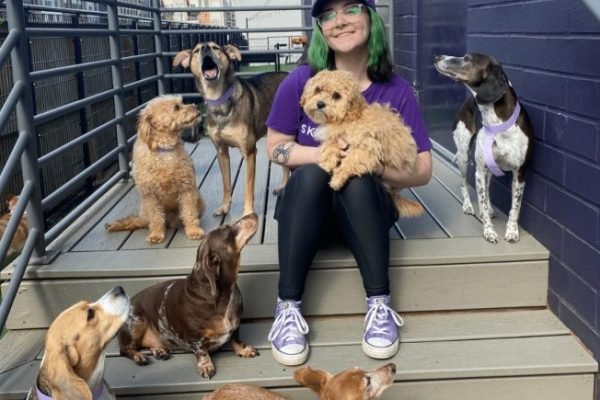 lady-holding-small-dog