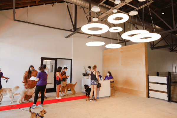 skiptown-charlotte-nc-dog-bar-park